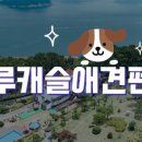 블루케슬 이미지