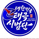 용인대건영태권도 이미지