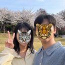 고양제일큰약국 네이버블로그