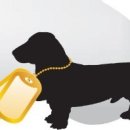 펫가든동물병원 이미지