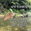 산척농업협동조합 | 삼탄 쏘가리 첫 탐사, 낚시도 차박도 쉽지 않았다!