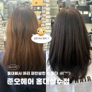 볼빨간헤어 | [홍대미용실추천] 홍대 퍼스널브라운염색 잘하는 곳 준오헤어 홍대상수점 찐만족 후기