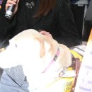 조이안과의원 이미지