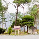 에듀팜특구관광단지(벨포레리조트) 이미지