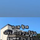 시그널 키즈풀빌라 펜션 이미지