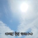 패디필드358 이미지