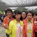 등명락가사 이미지