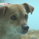 똘이농장 이미지