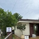 2865 | 고양시카페 : 고즈넉한 숲속 강서구근교카페 카페2865