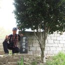 부산도시철도 다대포항역 이미지