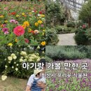 탄금호순환자전거길 11 | [아기랑 가볼 만한 곳] 1,100개의 식물이 있는 '화성시 우리꽃 식물원' 방문 후기