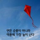 휘소 이미지