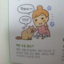 하루에 치킨한마리만 먹는거 양이 적은거임?? 이미지