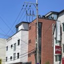 로컬스티치 청자장 이미지