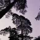 장계가항로 이미지