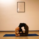 베스트짐 이미지