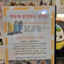 리프패럿 롯데마트 광복점 이미지