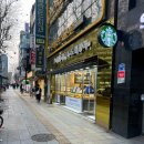 콩알 | 종로 금은방 모아쥬얼리 내돈내산 후기 : 콩알금부터 목걸이 팔찌 반지 쇼핑