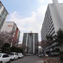 문화동사무소 이미지