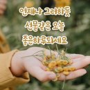 그냥교회 출석합니다. 이미지