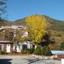 숲속정원펜션 이미지