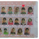 가락태권도 이미지