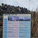 제주산굼부리분화구 | 제주여행&amp;제주 가을에 가볼만한곳 / &lt;산굼부리 분화구&gt; &amp; 새별오름 후기!(2024.11월)
