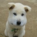 온더피트니스 이미지