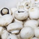 송이농장(2) 이미지