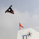 PARROT KOREA 이미지