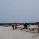 김녕초등학교 이미지