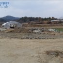 포리에이스 이미지