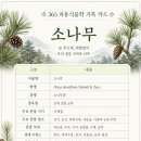 장수군산림조합 | [365 치유식물학 003] 소나무