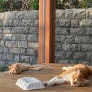 이레태권도 | #6. 여름 끝자락. 일상수집 (요가 · 부산카페· 맛집·요리 다 때려넣은 일상)