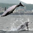 퍼시픽랜드주식회사 이미지