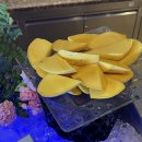 망고호텔 | 방콕 샹그릴라 호텔 조식 메뉴 상세 후기 | 망고 무제한 5성급 호텔 조식 맛집 추천