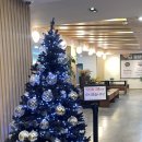 쭈꾸미스타 | 하남 스타필드 맛집 달마당 쭈꾸미 아기랑 식사 후기