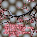 마태복음 15장11절♥우리가 씻어내야할 더러운 것 이미지