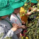 꽃초롱자연학습장 이미지