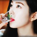 애주가 Daum카페