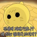 행복한찹쌀꽈배기