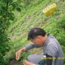 삼수농장 이미지