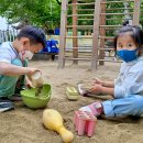 꼬마코끼리가는길 이미지