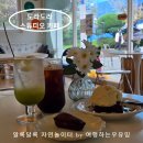 도라도라 | 양양 도라도라 스튜디오 카페 후기, 휴휴암 근처 베이커리 맛집