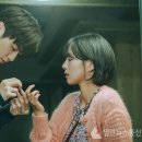 (주)다정플러스 이미지