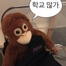 금아유통 | 3월의 아무말