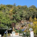 새롬동무지개타워앞 | 서울 남산타워뷰 루프탑 카페 더숲 초소책방 솔직 후기