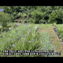 상용농장 이미지