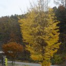 남한강자전거길 14 이미지