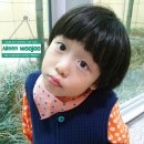 녹청자박물관 이미지